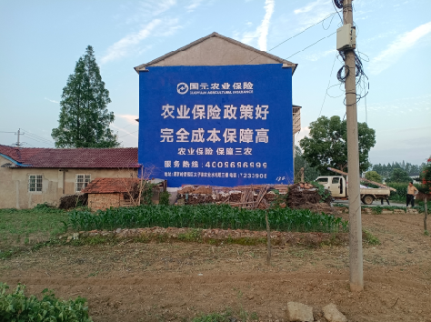 峨边彝族自治县墙体广告的优劣势你知道吗？