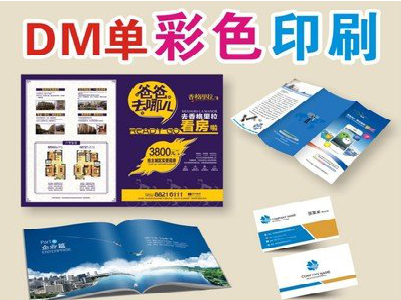 峨边彝族自治县单页印刷，色彩搭配简单。